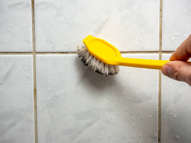 Best Commercial Mold Removal  in Carbon Cliff, IL