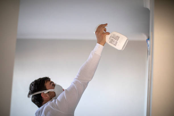 Best Emergency Mold Removal  in Carbon Cliff, IL