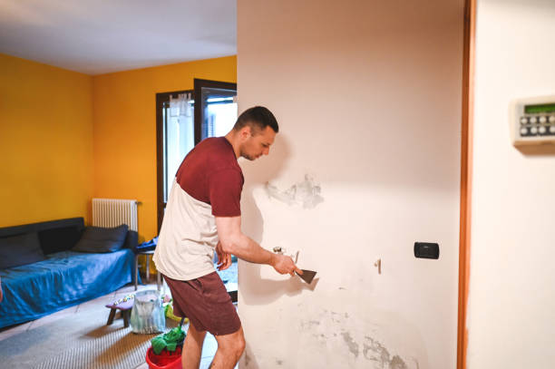 Best Black Mold Removal  in Carbon Cliff, IL