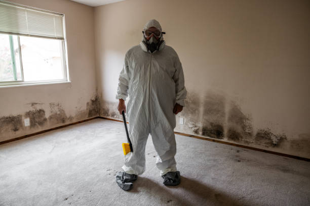 Best Toxic Mold Removal  in Carbon Cliff, IL